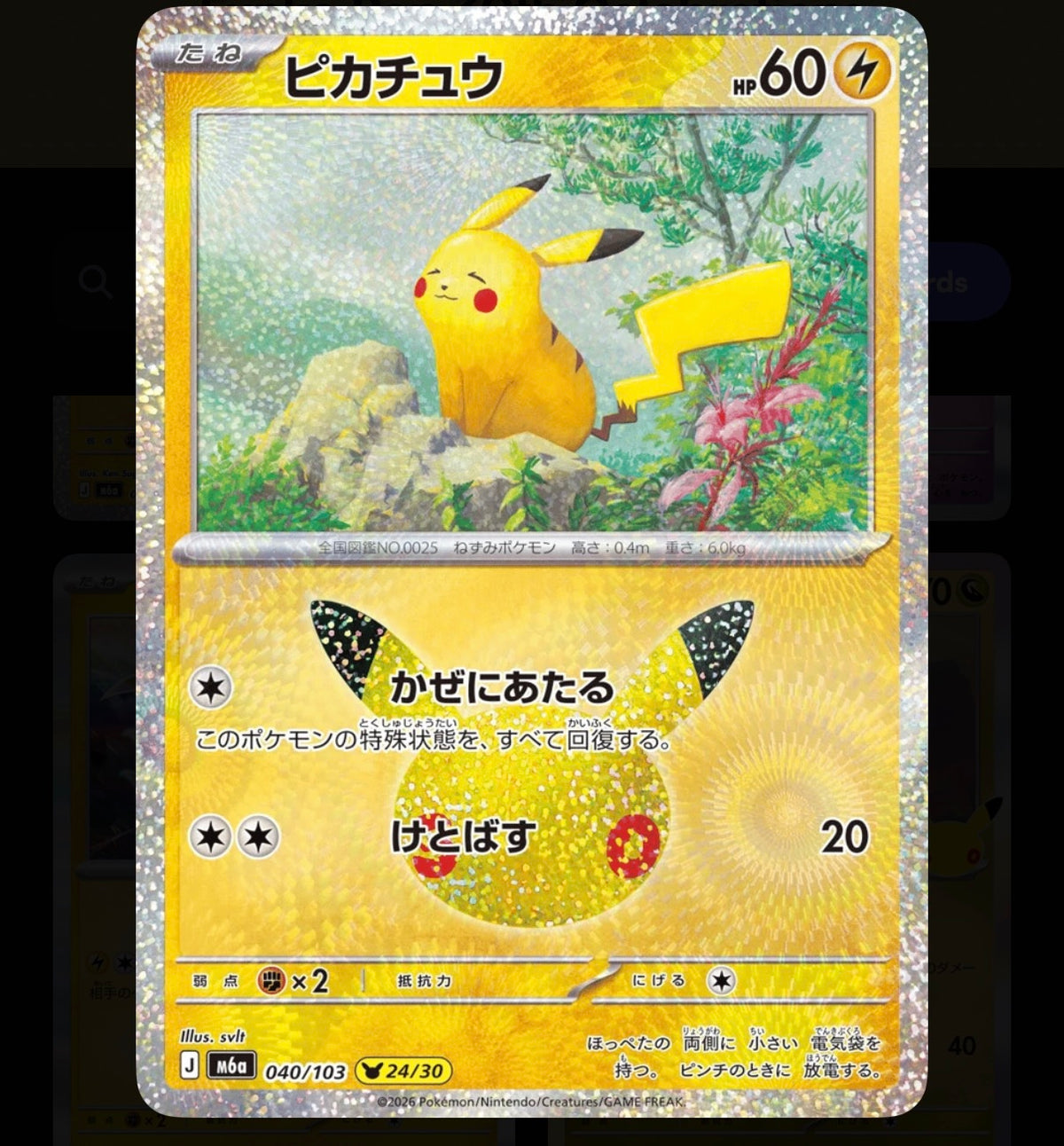 Pokémon Single Card Pikachu 040/103
30th Celebration JPN NM.